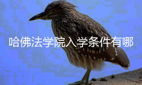 件有院入硬性要求学条哪些哈佛法学
