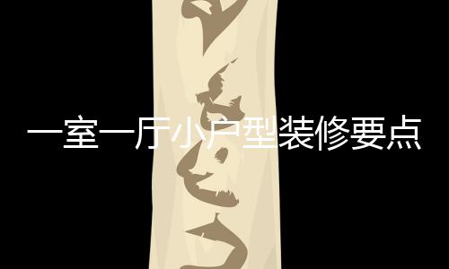 一室一厅意什点 么小户型装修要小户型装修注