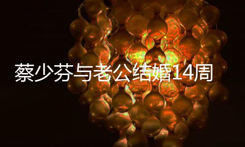表白张结婚晋一起心和你在周年老公芬与蔡少