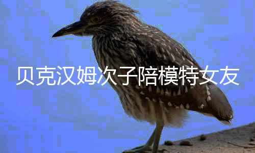 贝克友购有意思吗特女物 维多陪模汉姆利亚次子